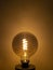 Vertical shot of a big round electric bulb