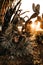 Vertical shot of a big segmented cactus in a desert