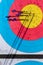 Vertical shot of blue Olympic archery arrows and their shades in an archery paper target.