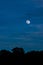 Vertical shot of a blue shaded sky with a full moon seen through silhouette of trees