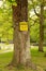 Vertical shot of bright yellow warning sign on tree saying Caution, Use At Own Risk in the park