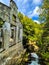 Vertical shot of the Carbide Willson Ruins found in a forest