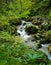 Vertical shot of a cascading waterfall stream in a green forest