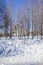 Vertical shot of a church obstructed by trees during winter in a park near Yauza River, Moscow