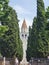 Vertical shot of a clock tower right in the middle of two rows of conifer trees in Aquileia, Italy