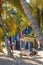 Vertical shot of clothes dry hanging by a string connected to coconut trees on daylight