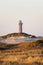 Vertical shot of a coastal dry field with a lighthouse in background in Norderney