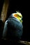 Vertical shot of a cockatiel perching on a tree branch against a dark background