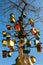 Vertical shot of colorful birdhouses attached to a tree