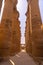 Vertical shot of the columns of the Luxor Temple at daylight in Egypt