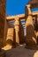 Vertical shot of the columns and statues of the Temple of Kom Ombo under the sunlight in Egypt