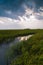 Vertical shot of common reeds in a swamp under a cloudy sky