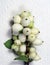 Vertical shot of the common snowberry fruits
