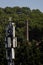 Vertical shot of the communication tower in the forest tre