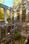 Vertical shot of concrete ruins in an autumn forest