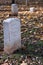 Vertical shot of Confederate grave headstones in the Stones River Battlefield & Cemetery, Tennessee