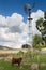 Vertical shot of a cow near a windpump in a valley