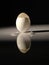 Vertical shot of a cracked empty egg shell reflecting on the table under the lights