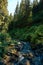 Vertical shot of a creek flowing in a forest in Ukraine, Ivano-Frankivsk region on a sunny day