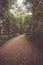 Vertical shot of a curved walkway with fallen autumn foliage in Burgerpark, Bremen, Germany