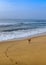 Vertical shot of a cute dog walking and leaving footsteps on the sandy shore alongside the foamy sea