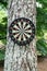 Vertical shot of a dartboard hanging on a tree in the park