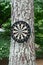 Vertical shot of a dartboard hanging on a tree on a spring day