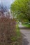 Vertical shot of dried shrubs along the pathway