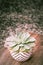 Vertical shot of Echeveria flowering plant in  a decorative flowerpot