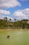 Vertical shot of an embracing couple in the Cenote Lagoon Kaan Luum in Tulum, Quintana Roo, Mexico