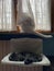 Vertical shot of a European white cat on the window and a black cat sleeping on the couch