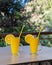 Vertical shot of fancy glasses of freshly squeezed orange juice with an orange slice and a straw