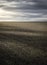 Vertical shot of a farm field under a gloomy sky