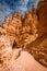 Vertical shot of a female standing among the rock formations in Bryce National Park, USA