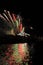 Vertical shot of fireworks behind a house onshore of a lake