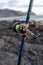 Vertical shot of a fishing bait on a beach in Oahu, Hawaii