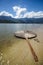 Vertical shot of floating wood shaped like a flower an attraction at Lang Co lake in Vietnam