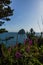 Vertical shot of flowers on the bay of the beautiful Baikal Lake in Russia on a sunny day