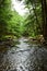 Vertical shot of a flowing river in the cook forest state park