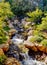 Vertical shot of a flowing rocky waterfall in a lush Japanese garden