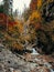 Vertical shot of flowing waterfalls  surrounded with autumn trees in a forest