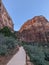 Vertical shot of a footpath surrounded by green bushes and cliffs. Zion National Park, Utah, USA.