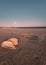 Vertical shot of a footstep on a beach near seashells in the evening