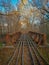 Vertical shot of a forest with leafless trees and railroads passing over the bridge