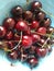 Vertical shot of fresh cherries in a bowl under the lights