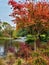 Vertical shot of a fresh scenery of a colorful public park with a small pond and autumn trees