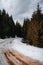 Vertical shot of a frozen route in the forest on a cloudy winter day