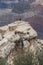 Vertical shot of a girl hiker gazing at the mountains at the Grand Canyon, Arizona, USA