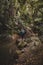 Vertical shot of a girl on the stones of the woods near the Kitekite Falls, New Zealand