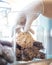 Vertical shot of a gloved hand taking out a cookie from a jar